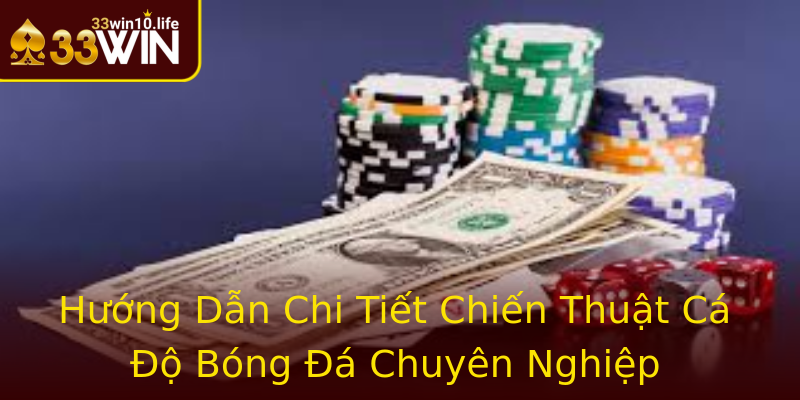 Hướng Dẫn Chi Tiết Chiến Thuật Cá Độ Bóng Đá Chuyên Nghiệp Hướng Dẫn Chi Tiết Chiến Thuật Cá Độ Bóng Đá Chuyên Nghiệp